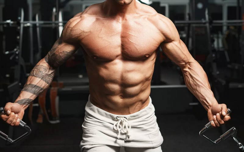 maximum bulking muscles