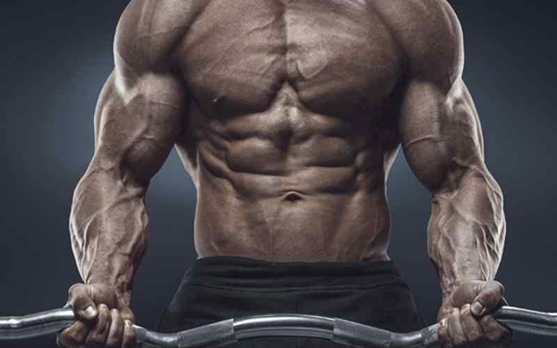 Bodybuilder's physique