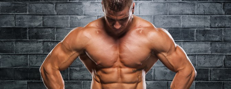 Bridge Cycle Steroids Bridge-Cycle-Steroids