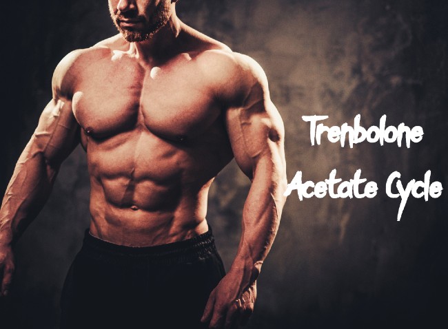 Trenbolone Acetate Cycle Trenbolone-Acetate-Cycle