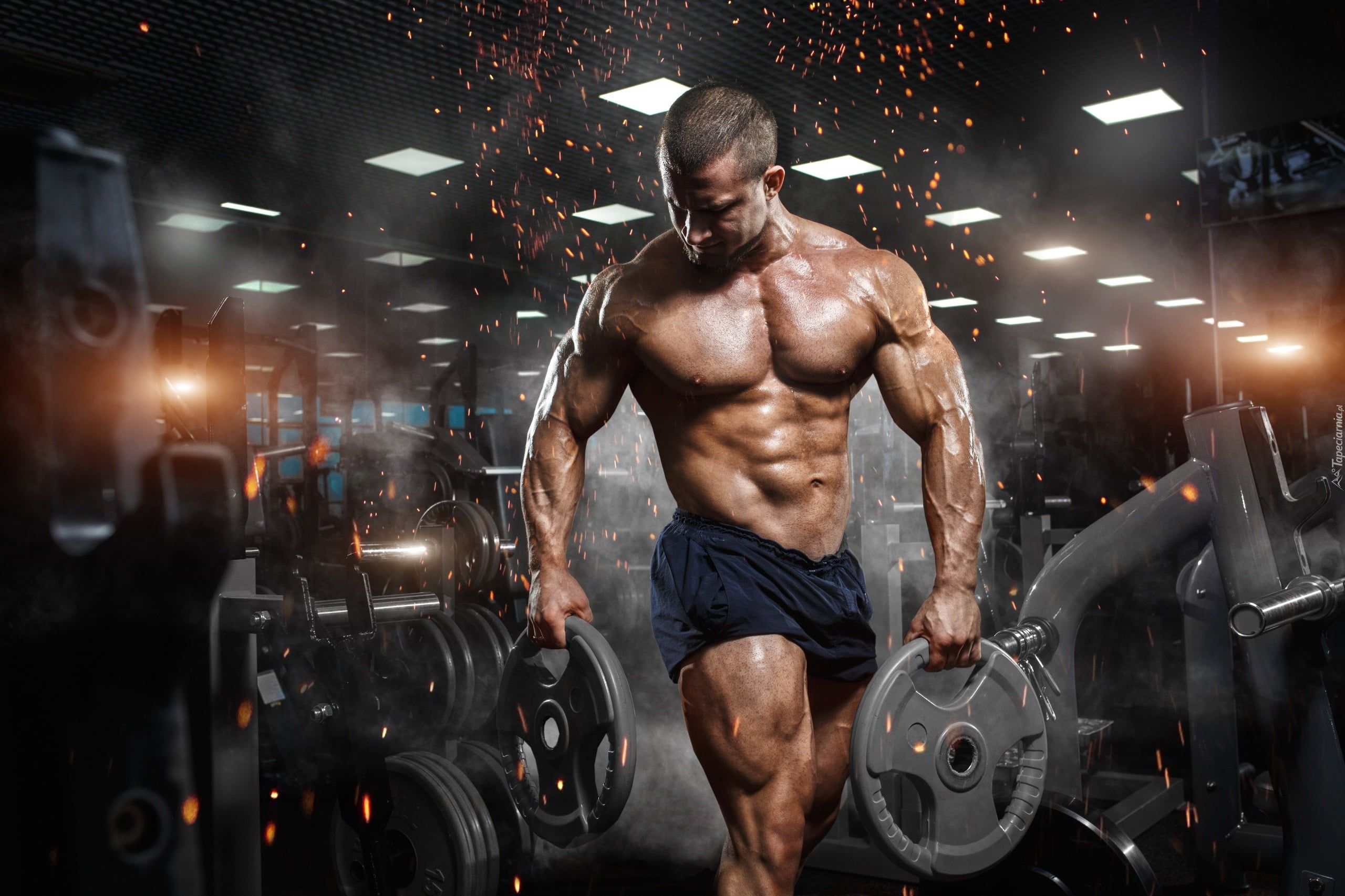 body builder body builder